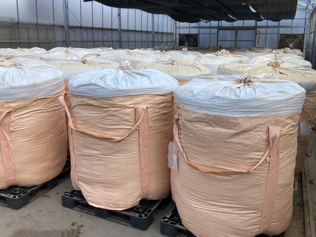 乾燥してフレコンに詰められた廃菌床